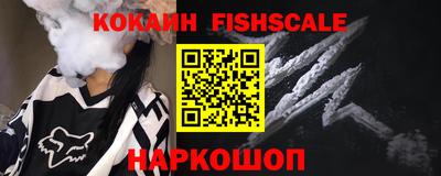 индика Пенза
