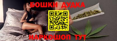 индика Пенза
