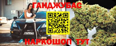 индика Пенза