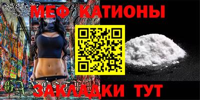 индика Пенза