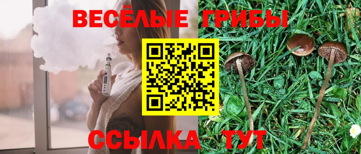 Галлюциногенные грибы прущие грибы Приморско-Ахтарск