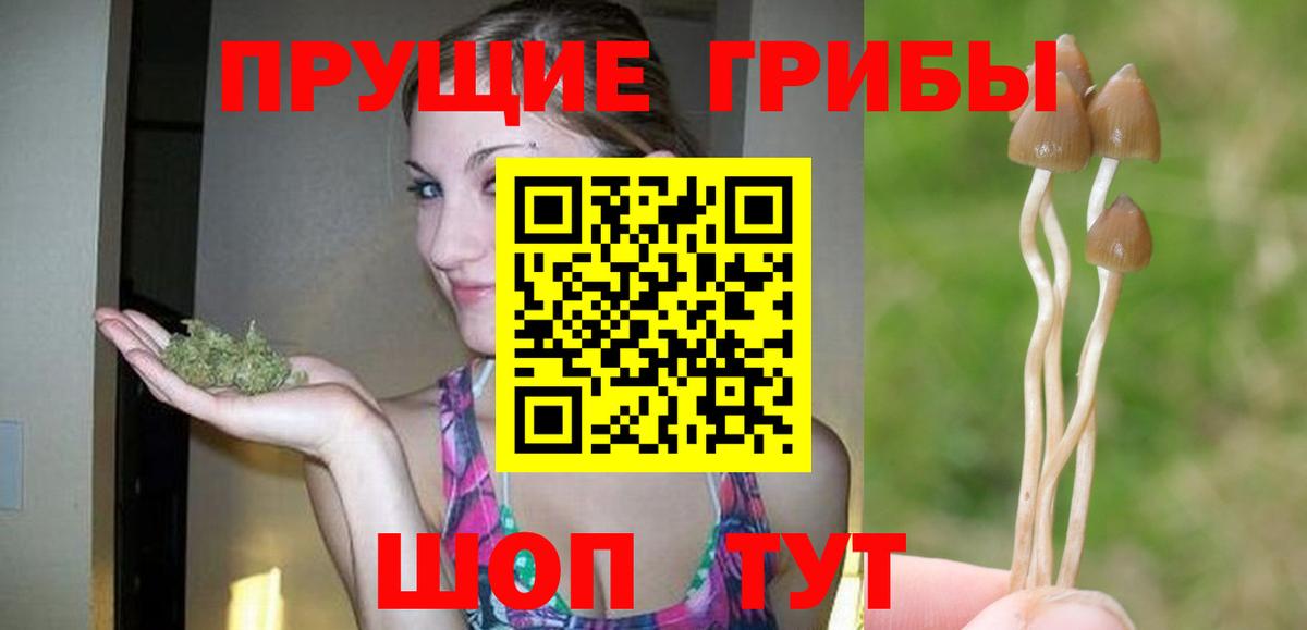 Псилоцибиновые грибы мицелий  купить закладку  Вход с VPN  Приморско-Ахтарск  Псилоцибиновые грибы прущие грибы 