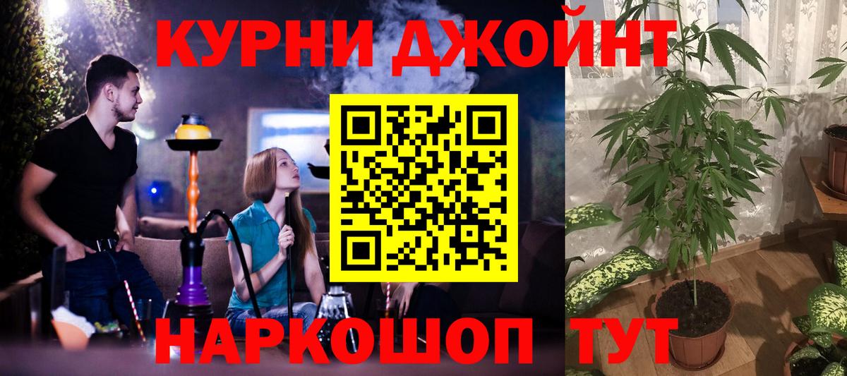Шишки марихуана VHQ  Бошки Шишки VHQ  Вход с VPN  Конопля семена  Приморско-Ахтарск 